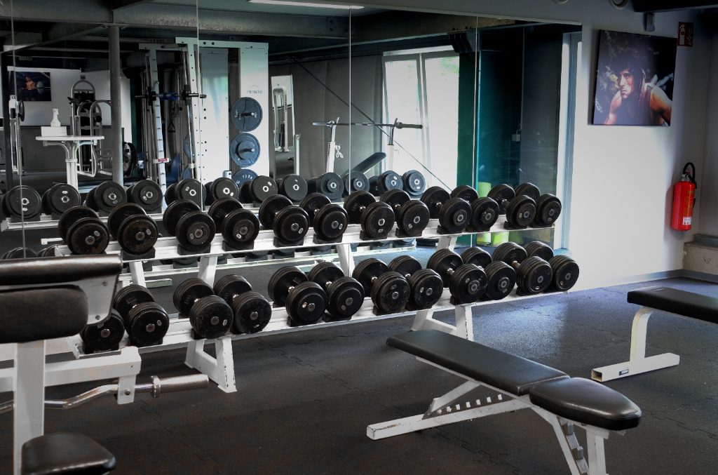 Krokofit_Radebeul_zwei_Freihantelbereiche_cool_Fitness_Pumpen_Bizeps_Krafttraining_Muskelwachstum_ruhig_rough_modern_Hyrox_Training_Club_große_Trainingsflaeche